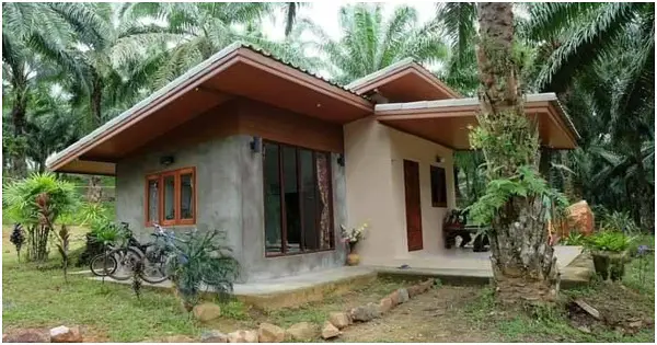 Modern House Design with Native Vibe, One with Nature