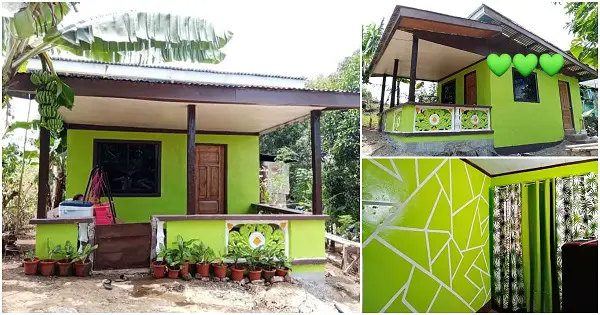 Cute House with Green Theme