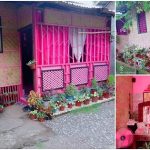 Native House with Pink Theme