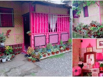 Native House with Pink Theme