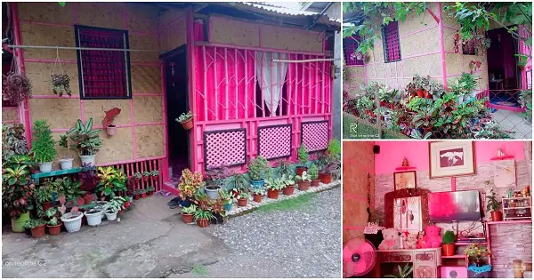 Native House with Pink Theme, Lots of Plants All Around