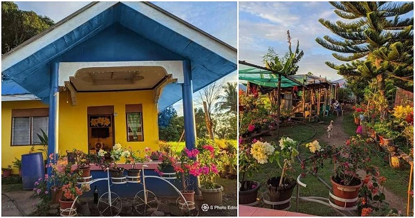 OFW’s Home: A Brightly Colored House with Beautiful Gardens